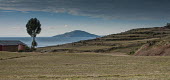 Lake Titicaca, Peru Lake Titacaca,outdoors,Peru,lakes,water,landscapes,freshwater,island,islands,Cultural,Hiking,Inca Trail,Outdoors