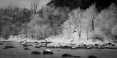 Penobscott River Penobscot River,snow,winter,landscape,river,trees,black and white,pretty,Environment,Landscape