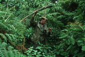 Guide clears away trap for mountain gorillas people,Africa,armed,camouflage,Central Africa,conservation,day,ranger,firearm,firearms,guard,guards,gun,guns,male,man,patrol,patrolling,patrols,rifle,security staff,weapon,weaponry,weapons,poaching,po