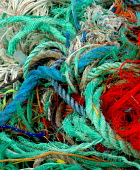 Marine litter washed up on beach trash,litter,coastline,beach litter,plastic waste,marine litter,plastic litter,rope,colour,colourful,pollution,conservation issue,threat,twine
