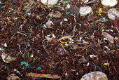 Plastic pollution on beach. Bigger plastic pieces that wash ashore are quickly ground into smaller pieces in the surf zone. close-up,trash,coast,colours,shoreline,litter,plastic,plastics,ocean trash,beach litter,marine debris,plastic waste,marine litter,microplastic