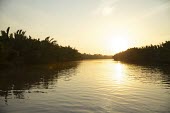 Sunset over a river in Central Kalimantan water,sunrise,river,forests,palm oil,central,Central Kalimantan,Forests,horizontal,Indonesia,Kalimantan,Sunrise,Water