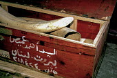 Crate of illegal ivory ivory,illegal trade,conservation,protection,state forestry corporation,CITES,luggage seizure,protected species,seized,environmental issues,Elephants,Elephantidae,Chordates,Chordata,Elephants, Mammoths