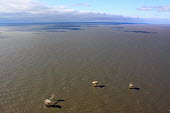Aerial view of oil platforms oil rig,platform,oil,drilling,sea,surface,aerial,horizon