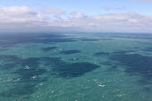 Aerial view of open sea open sea,choppy,seascape,aerial,horizon,clouds,shadows