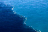 Offshore convergence zone water,density,convergence,zone,gulf,nutrients,rich,colour,contrast,meeting,habitat