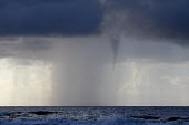 Tornado tornado,seascape,clouds,storm,sea,marine,weather,waves,grey,extreme weather