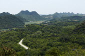 Filming Landscapes Landscapes,Cuc Phuong National Park,Vietnam,protected area,nature reserve,forest,rainforest,tropical,habitat,forests,trees,landscape,Pangolins