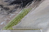 Salt farms, Urmia Lake, West Azerbaijan, Iran Lake,lakes,habitat,landscapes,landscape,humans,farm,sequestration,ecosystem service,salt,salt farm,manmade,modified,water,sandbank