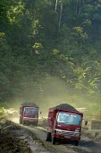 Trucks hauling coal. Mining is a land-use planning issue in this district which has declared itself a conservation area. forest,truck,mining,roads,coal,climate change,global warming,rainforests,negative space,conservation issue,conservation area,kalimantan