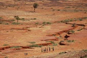 People walking through the Sahel people,land,warming,desert,dry,shrubs,bushes,grasses,walking,carrying,line,dry riverbed,earth,sahel,africa