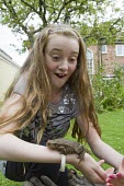 Young girl handling common toad, Bufo bufo toad,toads,wart,warty,amphibian,amphibians,pond,damp,brown,green,grey,slimy,single,one,alone,stare,gaze,Common-Toad,shallow focus,large,adult,grass,garden,teenage,nature,interaction,fun,child,children