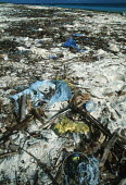 Conservation Issues: plastic pollution on the beach Africa,Conservation,issue,issues,conservation issues,conservation issue,threat,threatened,plastic,pollution,plastic pollution,beach,rubbish,litter,strand line