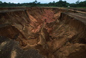 Conservation Issues: soil erosion caused by clearing of the forest cover. Soils of rainforest areas are highly erodible Africa,Conservation,issue,issues,conservation issues,conservation issue,threat,threatened,logging,logged,log,logs,rainforest,rainforests,forest,forests,export,cut,timber,tree,trees,trunk,trunks,people