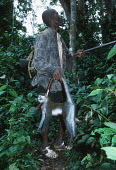 Bushmeat: monkeys killed by hunter is carried back to his village Africa,conservation,conservation issue,conservation issues,bushmeat,carcass,meat,food,subsistance,monkey,monkeys,killed,kill,hunt,hunter,hunters,dead,death,blood,gruesome,hang,hanging,face,dead animal