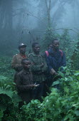 Mountain gorilla monitoring project Africa,conservation,conservation action,research,researcher,forest,rainforest,National Park,protected area,study,habitat,monitor,monitoring,watch,watching,observe,observing,mist,Chordates,Chordata,Pri