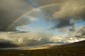 Rainbow over Abisko Abisko,Autumn,fall,Fjll,Hst,landscape,golden,still,calm,rainbow,sky,clouds,skyscape,light,landscape photography,Abisko_Sweden