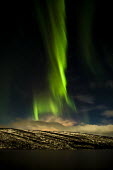 Northern lights Troms,Tromso,Norway,northern lights,lights,sky,night,dark,stars,black,green,striking,landscape,clouds,weather,night sky,natural spectacle,light,aurora borealis,TromsNorway