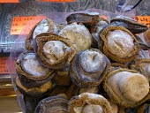 Abalone for sale in medicine shop China,Chinese medicine,Traditional Chinese Medicine,medicine,medicine shop,illegal,illicit,illegal wildlife trade,wildlife trade,poaching,poached,dead,endangered species,threats,conservation threat,un