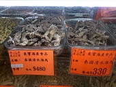 Dried seahorses for sale in medicine shop China,Chinese medicine,Traditional Chinese Medicine,medicine,medicine shop,illegal,illicit,illegal wildlife trade,wildlife trade,poaching,poached,dead,endangered species,threats,conservation threat,se