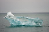 Ice sculpture Isfjorden,Svalbard,glacial,ice,sculpture,sculptural,texture,melt,melting,coast,sea,marine,iceberg