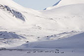 Light & Land Svalbard,Arctic,landscape,snow,light,white,snowscape,mountains,valley,people,sledges,dogs,abstract