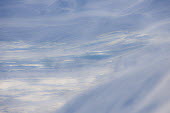 Ice Arctic,fog,ice,snow,Svalbard,abstract,wind,blue,pattern,Fog,Ice,Snow