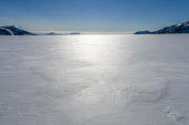 Light & Land Svalbard,Arctic,landscape,snow,light,white,snowscape,mountains,valley,negative space,blue sky