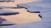 Sea ice Arctic,close up,sea ice,snow,sunset,Svalbard,winter,sea,ice,calm,peaceful,abstract