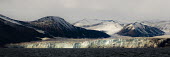 The front of Wahlenbergbreen on Svalbard. Svalbard,panorama,panoramic,glacier,glacial,mountains,snow,coast,Arctic,Glacier,Landscape,Spitsbergen
