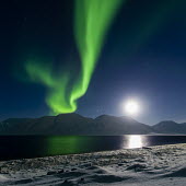 Northern lights Svalbard,northern lights,lights,sky,night,dark,stars,black,green,striking,diagonal,landscape,mountains,night sky,snow,low light