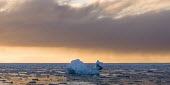 Ice sculpture Svalbard,Arctic,seascape,winter,sculpture,iceberg,glacier ice,ice,sea,sea ice,sunset,clouds,ocean