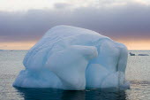 Ice sculpture Svalbard,seascape,winter,sculpture,Arctic,iceberg,Longyearbyen,glacier ice,ice,ocean,sea,blue ice,sea ice