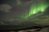 Northern lights Svalbard,northern lights,lights,sky,night,dark,stars,black,green,striking,diagonal,landscape,mountains,night sky,snow