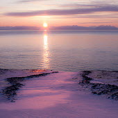 Light & Water Svalbard,water,sea,ocean,sun,sunset,pink,snow,calm,low sun
