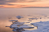 Pieces Arctic,landscape,sea ice,snow,sunset,Svalbard,winter,sea,ice,mist,seascape,clouds,calm,peaceful,Landscape,Sea ice,Snow,Sunset,Winter