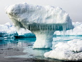 Iceberg Svalbard,iceberg,ice,sculpture,icicles,ice tree,marine,blue,water,melt,melting,white