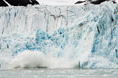 Glacier collapse Svalbard,glacier,collapse,action,crash,splash,fall,blue,ice,sea