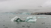 Ice sculpture Isfjorden,Svalbard,glacier,glacial,ice,sculpture,sculptural,texture,melt,melting,coast,sea,marine,mist,low clouds,iceberg