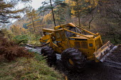 Cwmcarn Forest Cwmcarn Forest,forest,Cwmcarn,fungal disease,disease,fungus,Phytophthora ramoru,larch disease,clearing,felling,logging,larch,Larix sp.,landscape,tree,trees,infection,infected,machinery,cleared,digger,