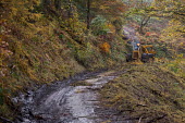 Cwmcarn Forest Cwmcarn Forest,forest,Cwmcarn,fungal disease,disease,fungus,Phytophthora ramoru,larch disease,clearing,felling,logging,larch,Larix sp.,landscape,tree,trees,infection,infected,machinery,cleared,track,a