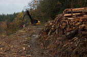 Cwmcarn Forest Cwmcarn Forest,forest,Cwmcarn,fungal disease,disease,fungus,Phytophthora ramoru,larch disease,clearing,felling,logging,larch,Larix sp.,landscape,tree,trees,infection,infected,machinery,cleared,action,