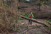 Cwmcarn Forest Cwmcarn Forest,forest,Cwmcarn,fungal disease,disease,fungus,Phytophthora ramoru,larch disease,clearing,felling,logging,larch,Larix sp.,tree,trees,infection,infected,cleared,man,people,action,work