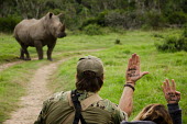 Save our Rhinos rhino,rhinos,South Africa,white rhinoceros,white rhino,Ceratotherium simum,white rhinos,habitat,photographer,photographers,save our rhinos,conservation,slogan,writing,hands,shallow focus,Rhinocerous,R
