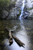 Waterfall waterfall,water,peaceful,habitat,landscape,rocks,rocky,pool,branches,wood