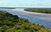 Aerial view of the Amazon rainforest and river, near Manaus Brazil,latin america,horizontal,forest,river,landscape,amazon,spanish,forests,climate change,global warming,rainforests,rainforest,aerial,water,brazil