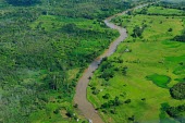 Aerial view of the Amazon rainforest and river, near Manaus Brazil,latin america,horizontal,forest,river,amazon,aerial,spanish,forests,climate change,global warming,rainforests,deforestation,green,degraded,cleared,clearing,brazil