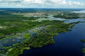 Aerial view of the Amazon rainforest and river, near Manaus brazil,latin america,horizontal,forest,river,amazon,aerial,spanish,forests,climate change,global warming,rainforests,rainforest,habitat,water,wetlands,urbanisation,destruction,deforestation,infrastruc