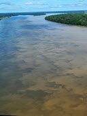 Aerial view of the Amazon rainforest and river, near Manaus brazil,latin america,river,amazon,spanish,forest,forests,climate change,global warming,verticals,rainforests,rainforest,water,mixing,tributaries,muddy,sediment