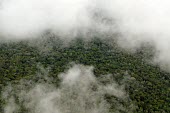 Aerial view of the Amazon rainforest and river, near Manaus Brazil,latin america,amazon,aerial,spanish,rainforests,climate change,forest,forests,global warming,horizontal,abstract,canopy,clouds,brazil